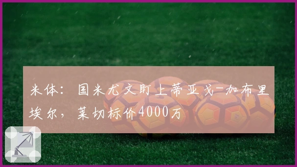 米体：国米尤文盯上蒂亚戈-加布里埃尔，莱切标价4000万