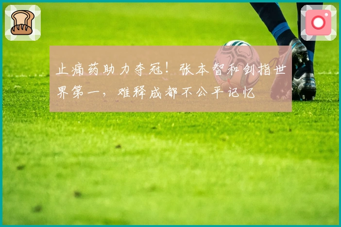 止痛药助力夺冠！张本智和剑指世界第一，难释成都不公平记忆