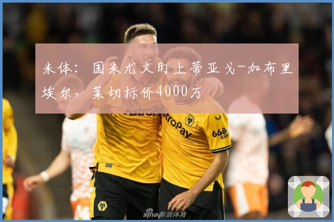 米体：国米尤文盯上蒂亚戈-加布里埃尔，莱切标价4000万