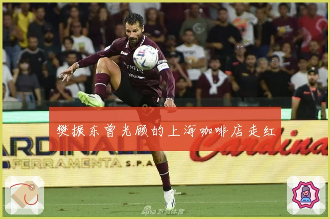 樊振东曾光顾的上海咖啡店走红