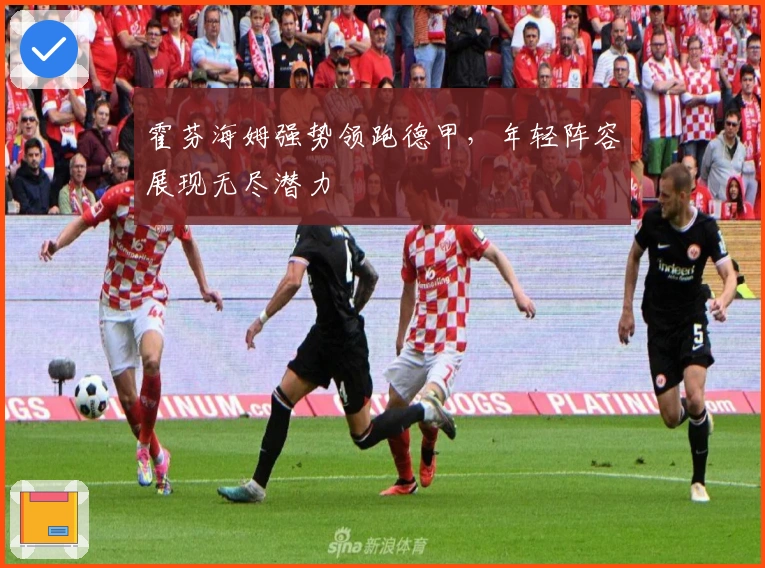 霍芬海姆强势领跑德甲,年轻阵容展现无尽潜力