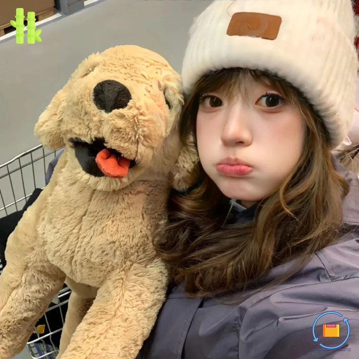 深夜喝啤酒的球迷